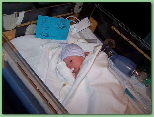 584x433 pixels (232K)